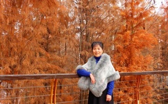 貂蝉得的乳液怎么样